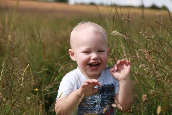Jack in a field of grass.